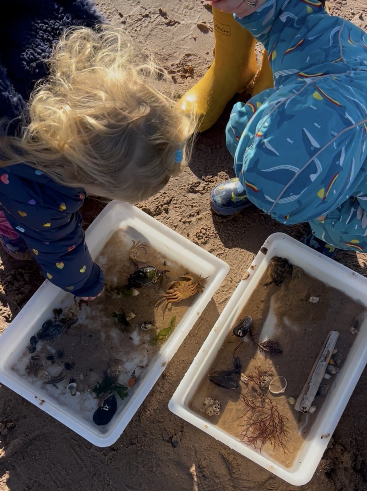 NEW Starfish Explorers 0-5 yrs TUESDAY 9:30-10:30am